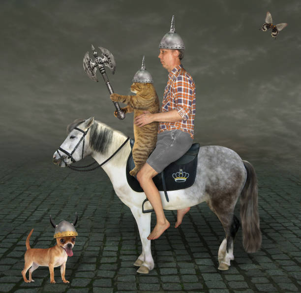 istock Cat warrior with man on horse 2 1257438163