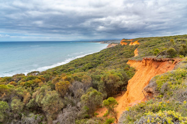 bells beach, great ocean road, victoria, australia - otway national park foto e immagini stock