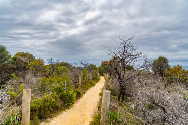 Great Ocean Road, Australia