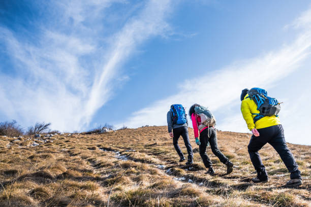 istock Rear view of three friends hiking on a footpath 1257438543