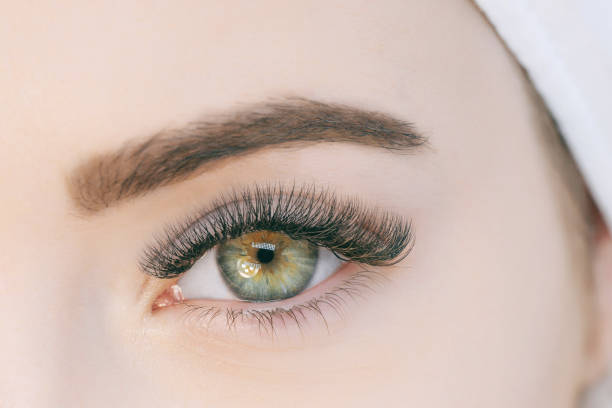 긴 속눈썹, 매끄러운 건강한 피부로 아름다운 갈색 여성 눈의 가까이보기. 속눈썹 연장 절차. 완벽한 트렌디 한 눈썹. 좋은 비전, 콘택트 렌즈. 눈 건강과 관리. - contact lens human eye human face women 뉴스 사진 이미지