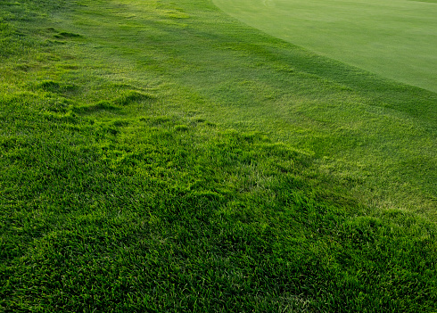Gothenburg, Sweden - June 13 2021: Golfers at the green at Gothenburg Golf Club.