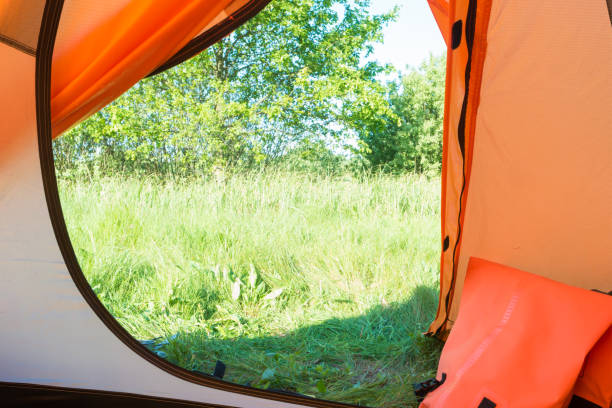 istock View from inside tent to green lawn 1257442533
