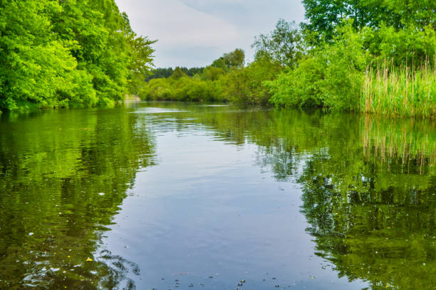 istock River landscape and green forest 1257442629