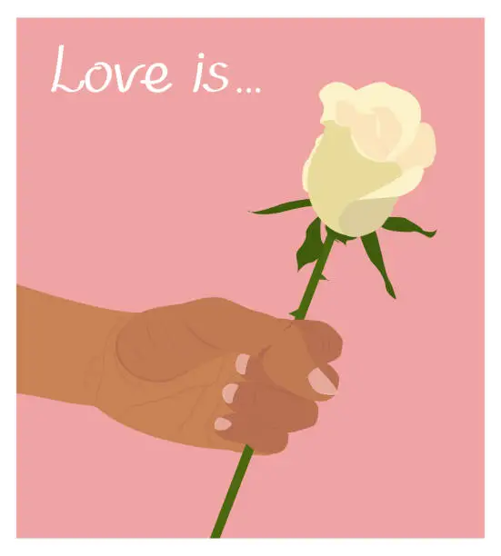 Vector illustration of Greeting card, banner or poster with text Love is ... Vector illustration of a hand holding a white rose. Happy Valentine's Day Greeting Card
