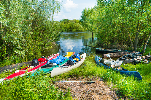 Many loaded kayaks with cargo on river shore with green trees and bushes
