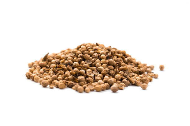 istock Heap of raw, unprocessed organic coriander or cilantro seeds on white background 1257446350