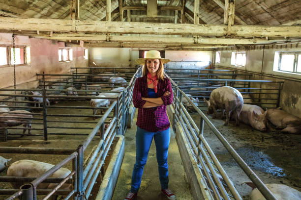 istock Farm life is the life for me 1257446405