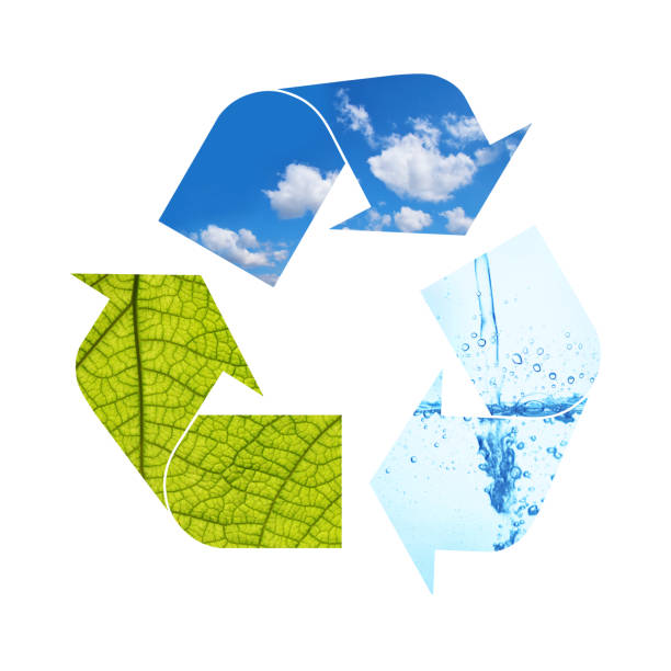 istock Illustration recycling symbol of nature elements 1257447277