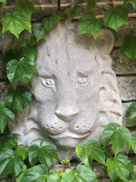 istock The  head of a lion 1257449668