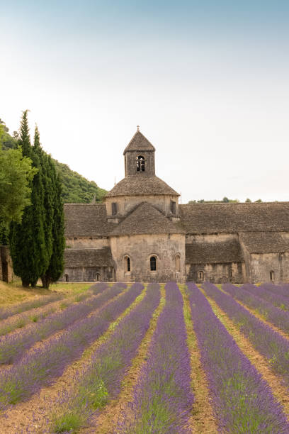 istock The Notre Dame de Senanque Abbey 1257449694