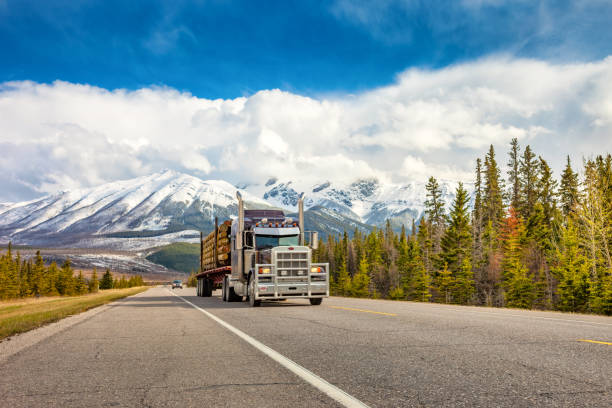Log truck drives on highway near Jasper Alberta Canada on a sunny day.