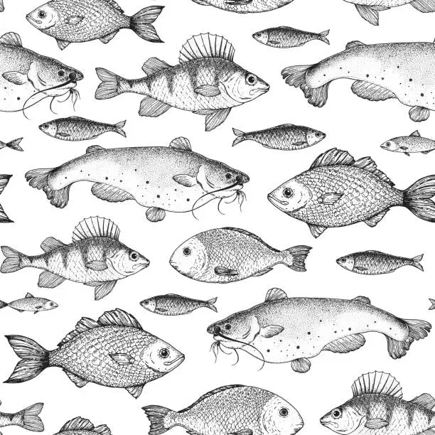 Vector illustration of Fish seamless pattern. Hand drawn vector illustration. Seafood vector illustration. Food menu illustration. Hand drawn. Engraved style.