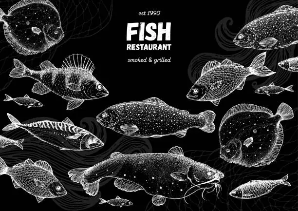 Vector illustration of Fish sketch collection. Hand drawn vector illustration. Seafood frame vector illustration. Food menu illustration. Hand drawn flounder, mackerel, perch, catfish, bream. Sea and river fish.