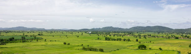 Panorama Green field with mountain background, Thailand.