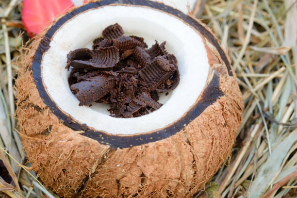 istock Dark chocolate adorns the panna cotta in a coconut shell. 1257457063