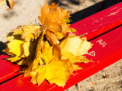 Bouquet of yellow maple leaves on a red bench, selective focus, as background for your project.