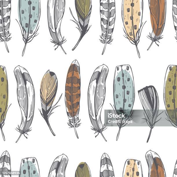Simple Eye Feather Pattern Vector Hand Drawn Feathers Vector Pattern Stock Illustration - Download Image ...