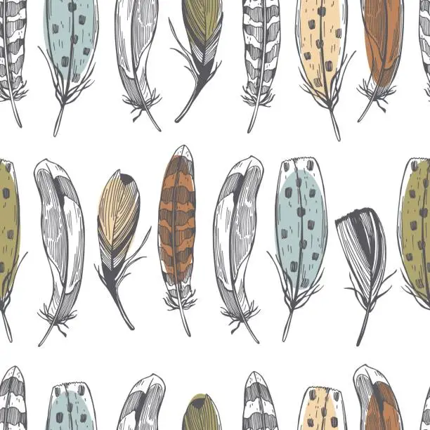 Vector illustration of Hand drawn feathers . Vector   pattern