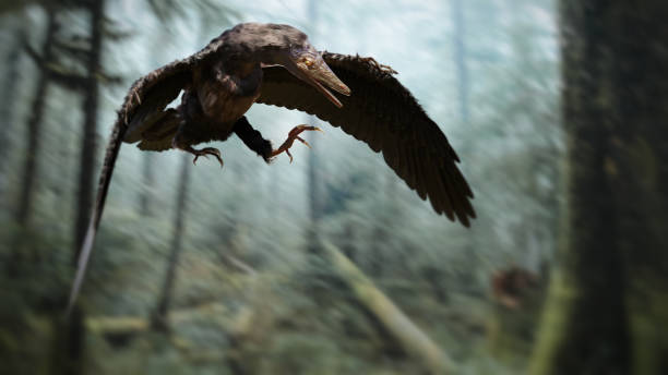 森の中を飛ぶ鳥のような恐竜、古風な恐竜 - paleobiology ストックフォトと画像