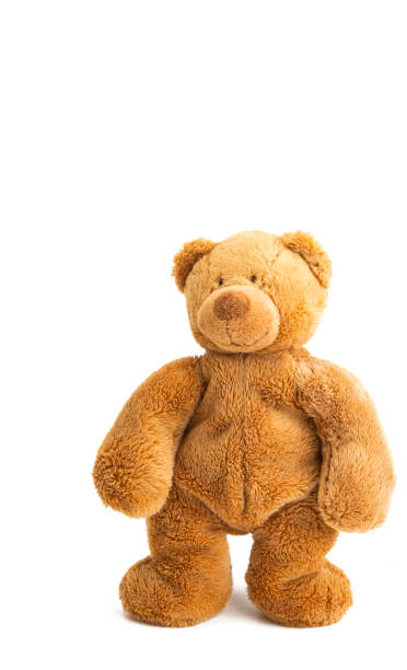 istock soft toy bear and isolated 1257459512