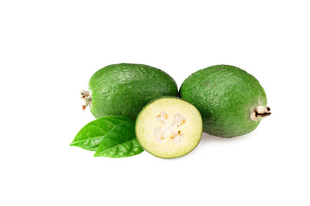 feijoa de fruta tropical con rodajas aisladas sobre fondo blanco. acca sellowiana - feijoas ripe fruit iodine fotografías e imágenes de stock