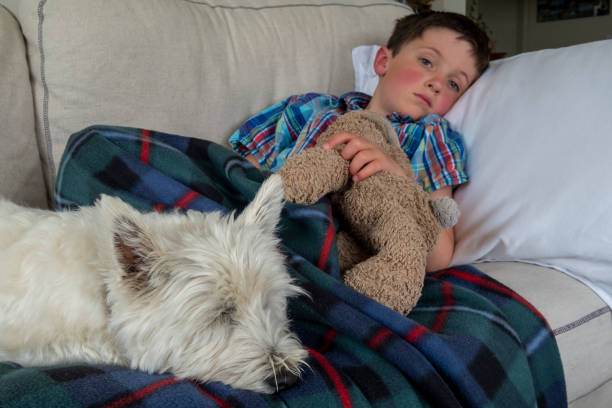 un niño enfermo descansando en un sofá con su perro de la familia - mejillas enrojecidas fotografías e imágenes de stock