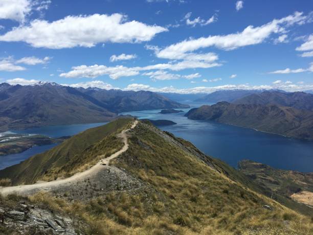 istock New Zealand 1257464495
