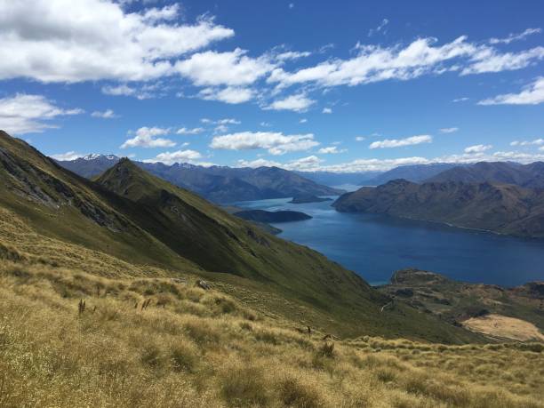 istock New Zealand 1257464499