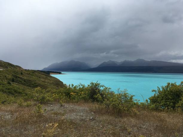 istock New Zealand 1257464502