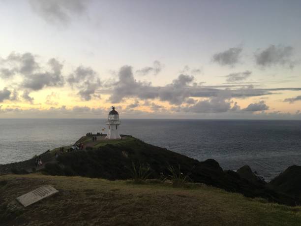 istock New Zealand 1257464542
