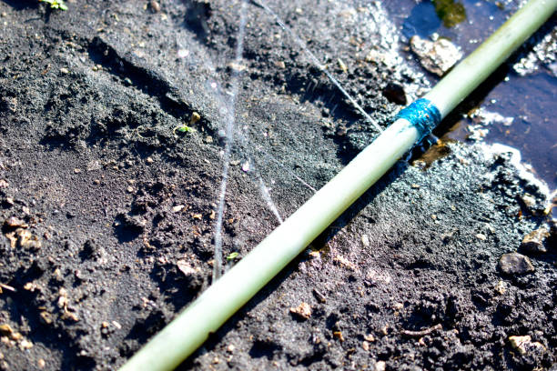 istock Garden watering with water from a hose and a water Sprinter 1257466768