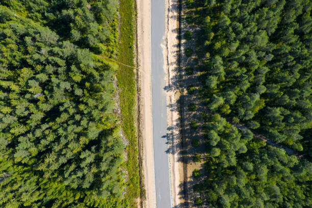 istock Aerial view from drone on asphalt road at pine forest 1257467910