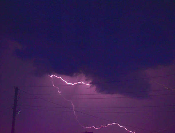 istock Thunderstorm at night and lightning on the horizon with trees 1257468454