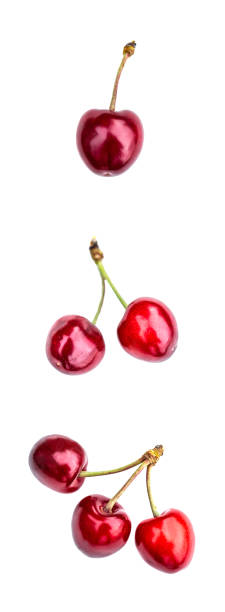istock Composition of ripe cherries isolated on a white background 1257475477