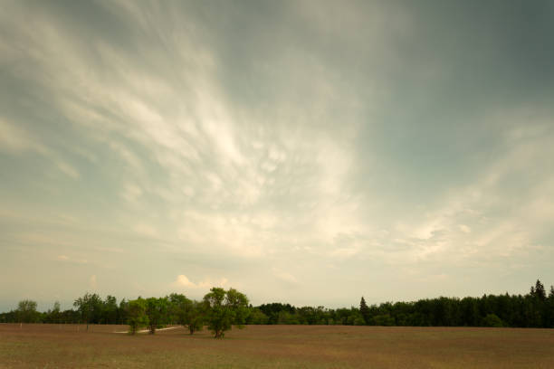 birds hill provincial park manitoba canada mammatus storm clouds - manitoba prairie landscape canada foto e immagini stock