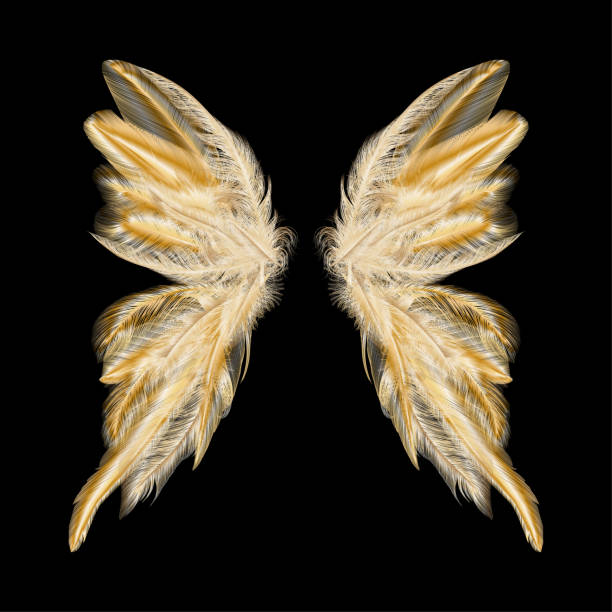 крылья бабочки с перьями. современное абстрактное искусство золотое перо. - spring abstract insect dreams stock illustrations