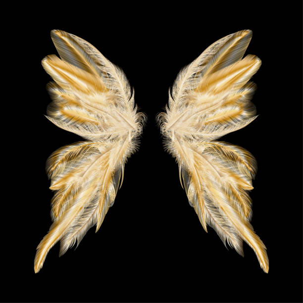istock Butterfly wings with feathers. Modern  abstract art Golden Feather. 1257477944