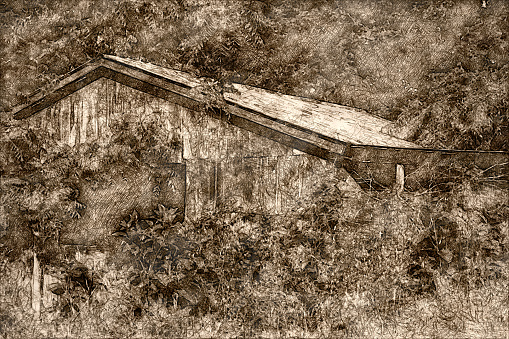 Sketch of a Weathered and Forgotten Barn Overgrown with Lush Green Foliage