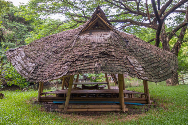 Pavilion thatched roof for relaxingin in  garden. Bamboo gazebo architecture construction. No focus, specifically.