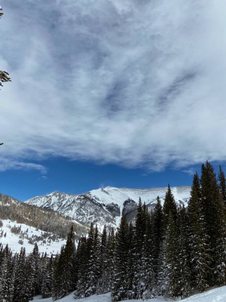 istock Blue sky in Colorado 1257485653