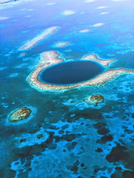 istock Great blue whole of Belize 1257485809