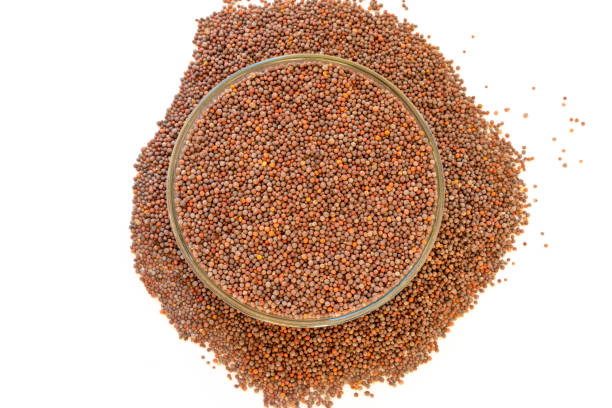 istock Rai seed (Whole Rai), mustard seed in bowl isolated on white 1257489751