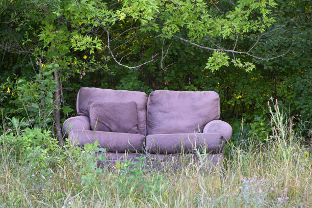 istock A couch in the woods 1257494443