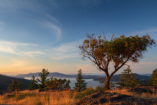 View point from Squally Reach located in the Highlands of southern Vancouver Island.