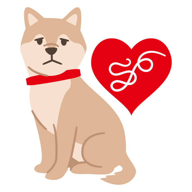 Illustration of a dog infected with heartworm vector art illustration
