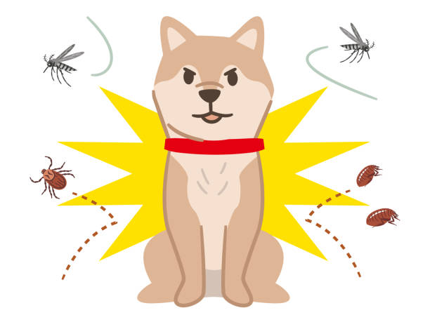 Illustration of a dog repelling pests on a white background vector art illustration