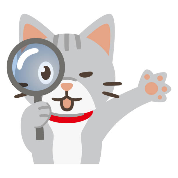 istock Illustration of a cat looking through a magnifying glass on a white background 1257498834