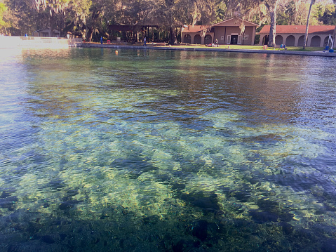 Natural freshwater spring with bottom visible at De Leon Springs park in Florida