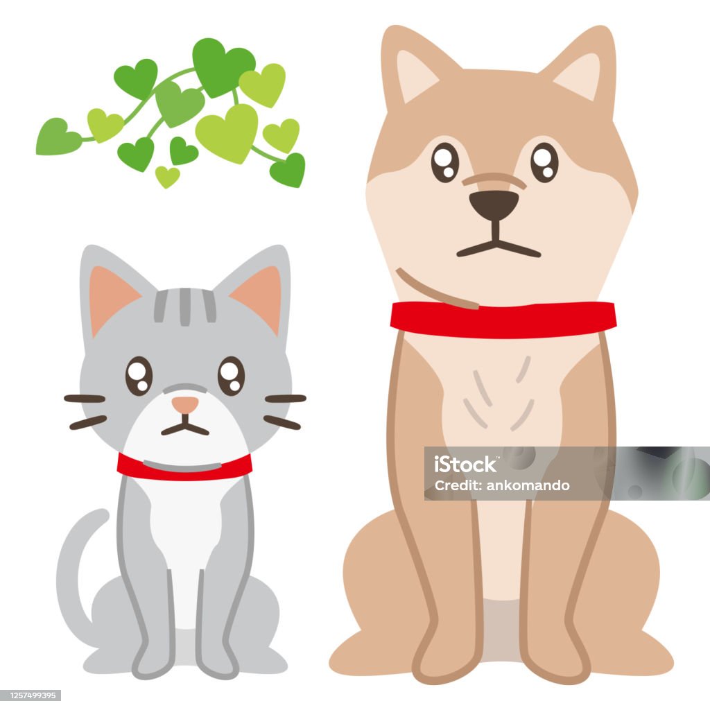 Illustration Of A Dog And Cat Staring With Sad Eyes On A White Background  Stock Illustration - Download Image Now - iStock